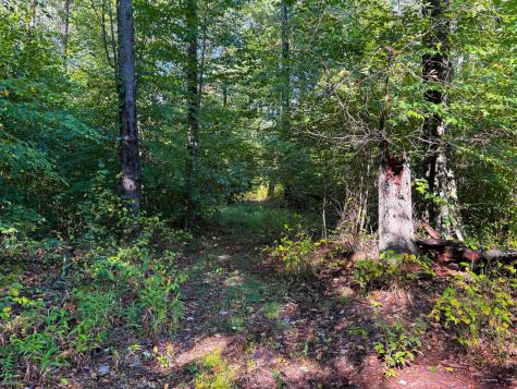 1 Woodmont Road Helvetia WV 26224