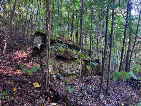 1 Woodmont Road Helvetia WV 26224