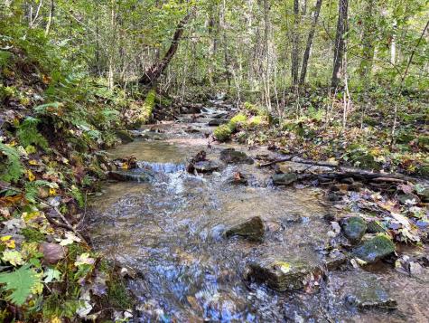 1 Woodmont Road Helvetia WV 26224