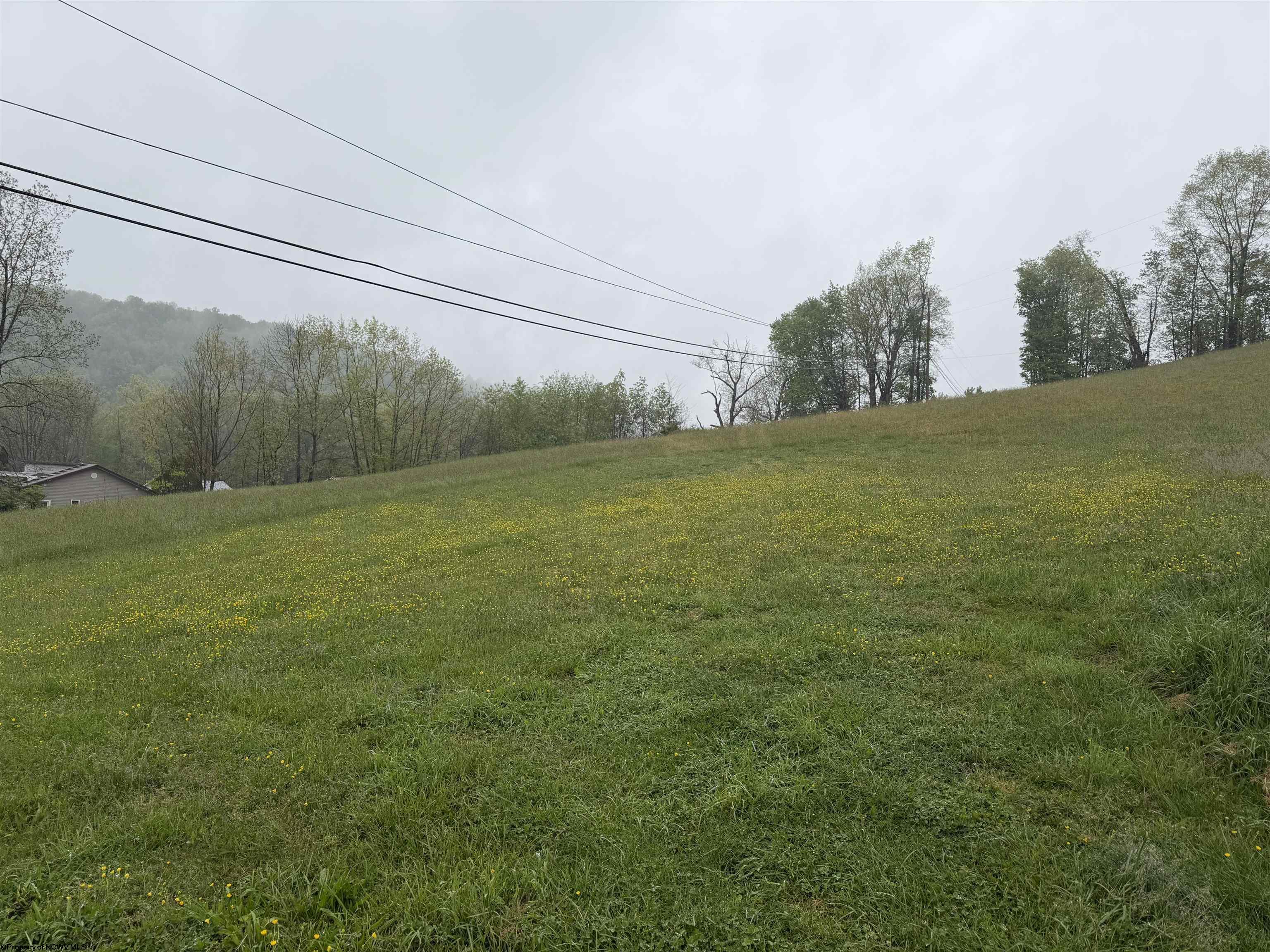 0 Old Elkins Road Buckhannon WV 26201