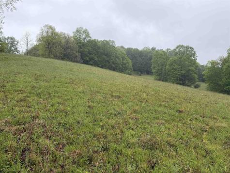 0 Old Elkins Road Buckhannon WV 26201