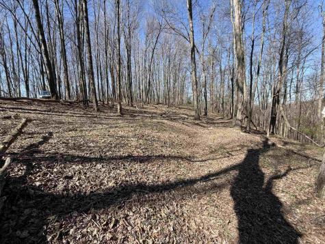 0 Old Elkins Road Buckhannon WV 26201