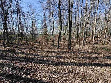 0 Old Elkins Road Buckhannon WV 26201