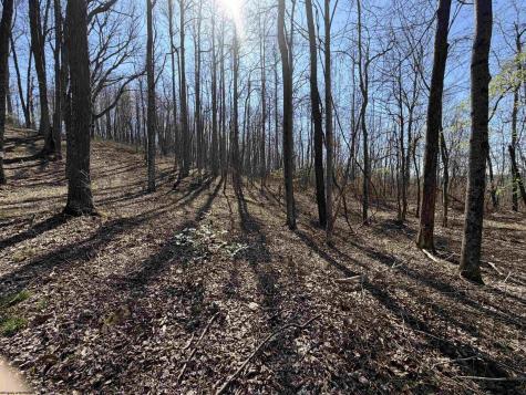 0 Old Elkins Road Buckhannon WV 26201
