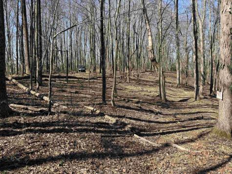 TBD Old Elkins Road Buckhannon WV 26201