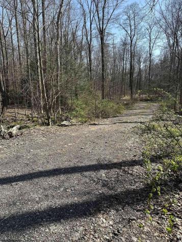 21 Belgian Estates Bruceton Mills WV 26525