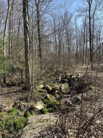 21 Belgian Estates Bruceton Mills WV 26525