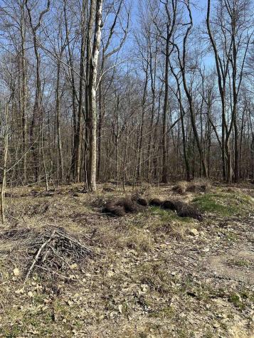 21 Belgian Estates Bruceton Mills WV 26525