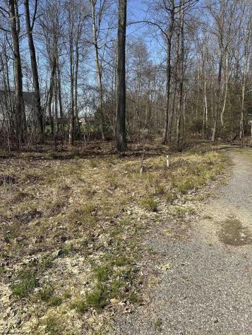 21 Belgian Estates Bruceton Mills WV 26525