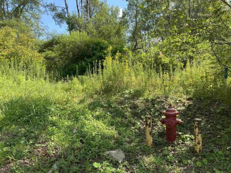 1 Street Corner Thomas WV 26292