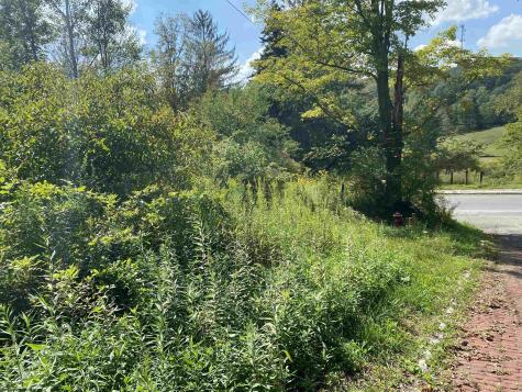 1 Street Corner Thomas WV 26292