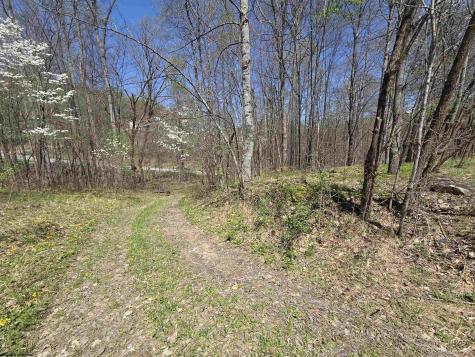 6 Deerbrook Estates Belington WV 26250