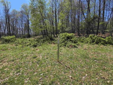 6 Deerbrook Estates Belington WV 26250