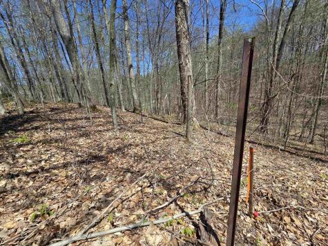 6 Deerbrook Estates Belington WV 26250