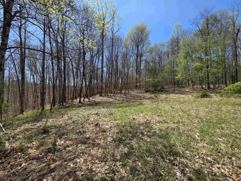 6 Deerbrook Estates Belington WV 26250