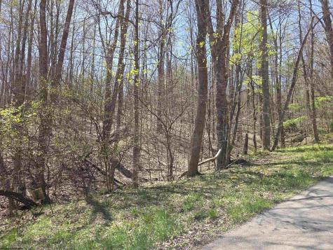 Lot 6 Deerbrook Estates Belington WV 26250
