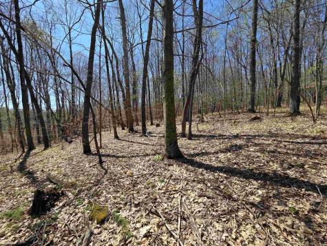 6 Deerbrook Estates Belington WV 26250