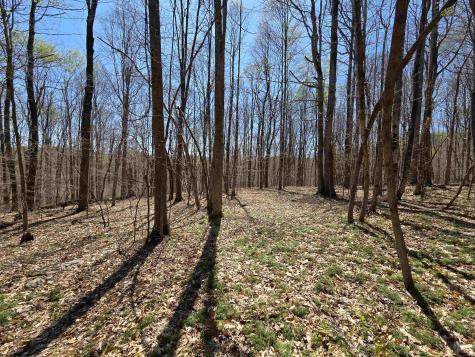 6 Deerbrook Estates Belington WV 26250