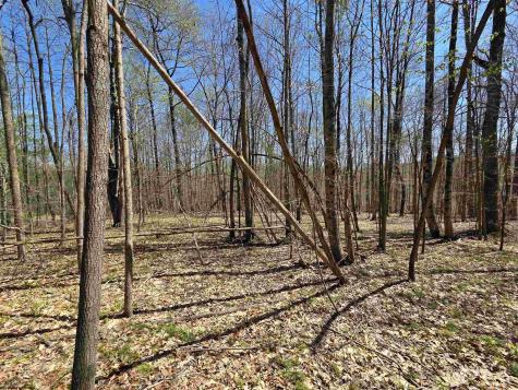 6 Deerbrook Estates Belington WV 26250