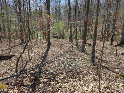 Lot 6 Deerbrook Estates Belington WV 26250