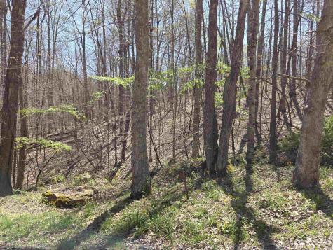 6 Deerbrook Estates Belington WV 26250