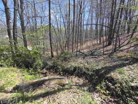 6 Deerbrook Estates Belington WV 26250
