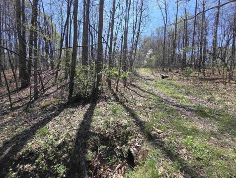 6 Deerbrook Estates Belington WV 26250