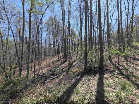 6 Deerbrook Estates Belington WV 26250