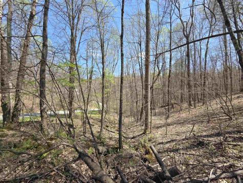 6 Deerbrook Estates Belington WV 26250