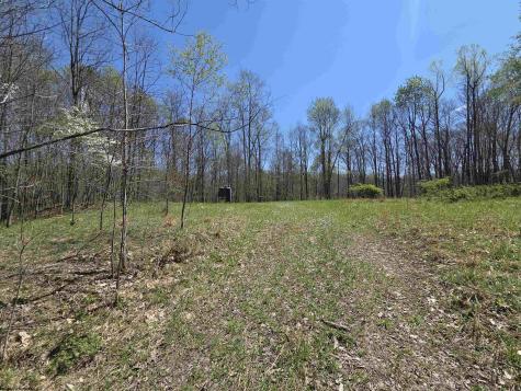 6 Deerbrook Estates Belington WV 26250