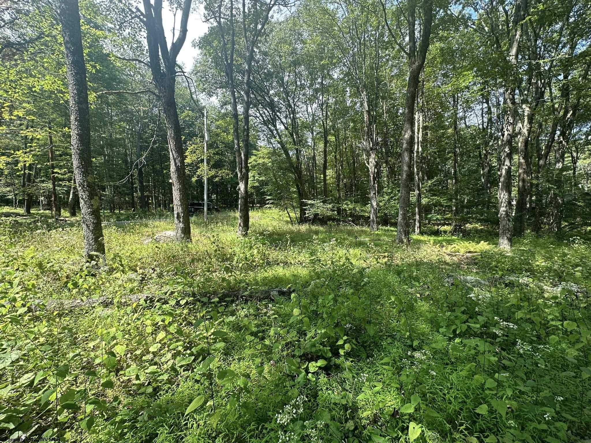 225 Woodbine Drive Terra Alta WV 26764
