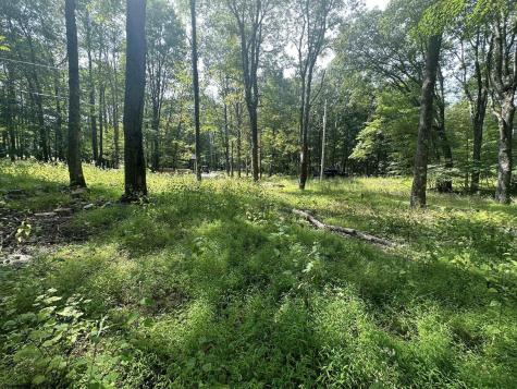 225 Woodbine Drive Terra Alta WV 26764