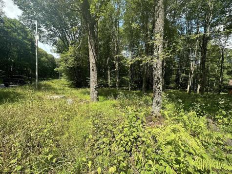 225 Woodbine Drive Terra Alta WV 26764