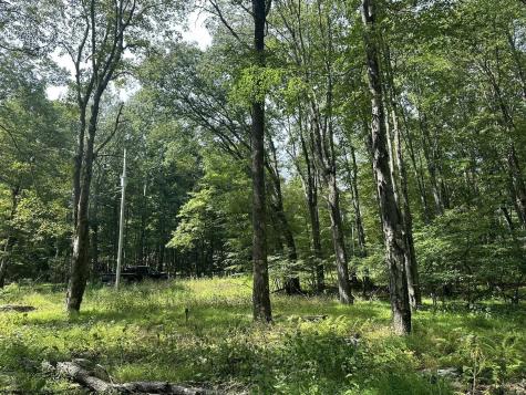 225 Woodbine Drive Terra Alta WV 26764