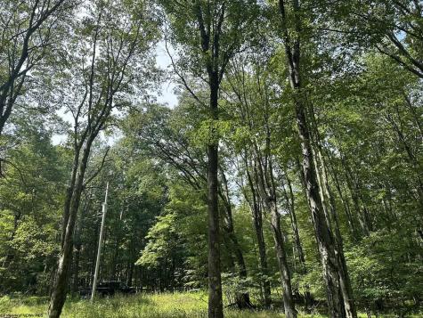 225 Woodbine Drive Terra Alta WV 26764