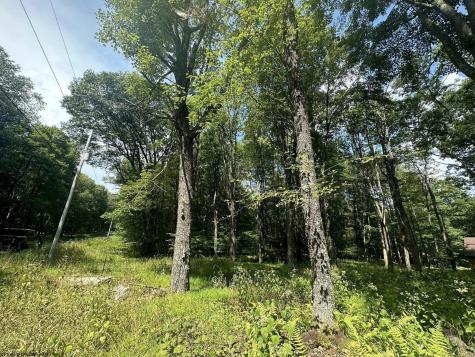 225 Woodbine Drive Terra Alta WV 26764