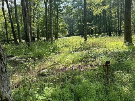225 Woodbine Drive Terra Alta WV 26764
