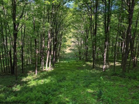 975 Whiteman Run Road Philippi WV 26416