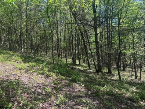 975 Whiteman Run Road Philippi WV 26416