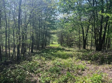 975 Whiteman Run Road Philippi WV 26416