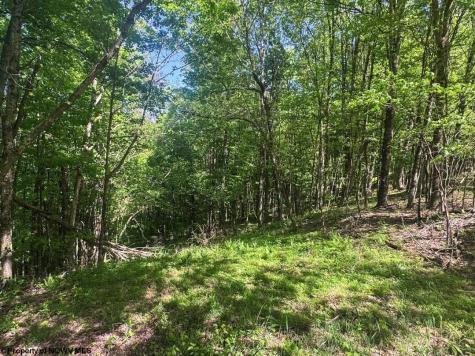 975 Whiteman Run Road Philippi WV 26416