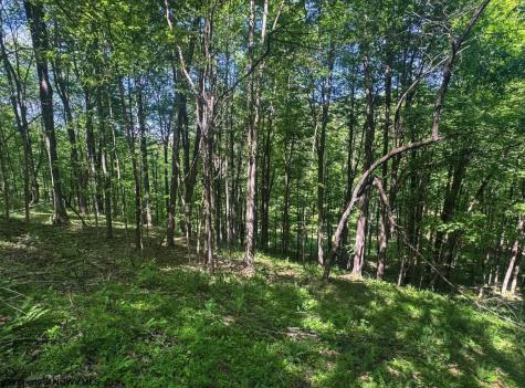 975 Whiteman Run Road Philippi WV 26416