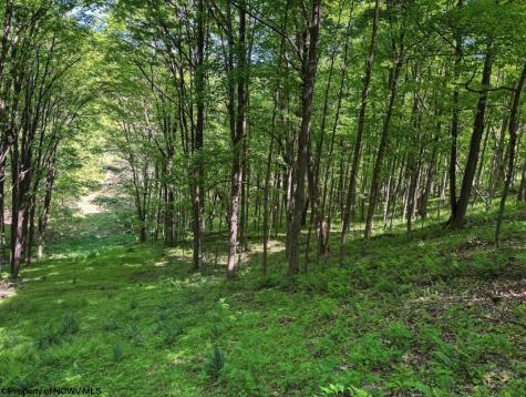 975 Whiteman Run Road Philippi WV 26416