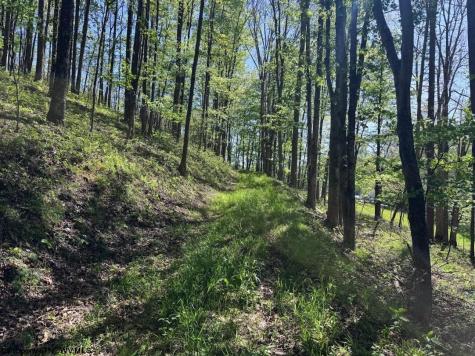 975 Whiteman Run Road Philippi WV 26416