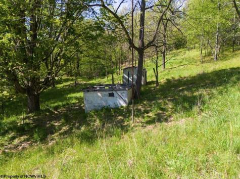 975 Whiteman Run Road Philippi WV 26416