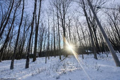 0 Hemlock Circle Terra Alta WV 26764