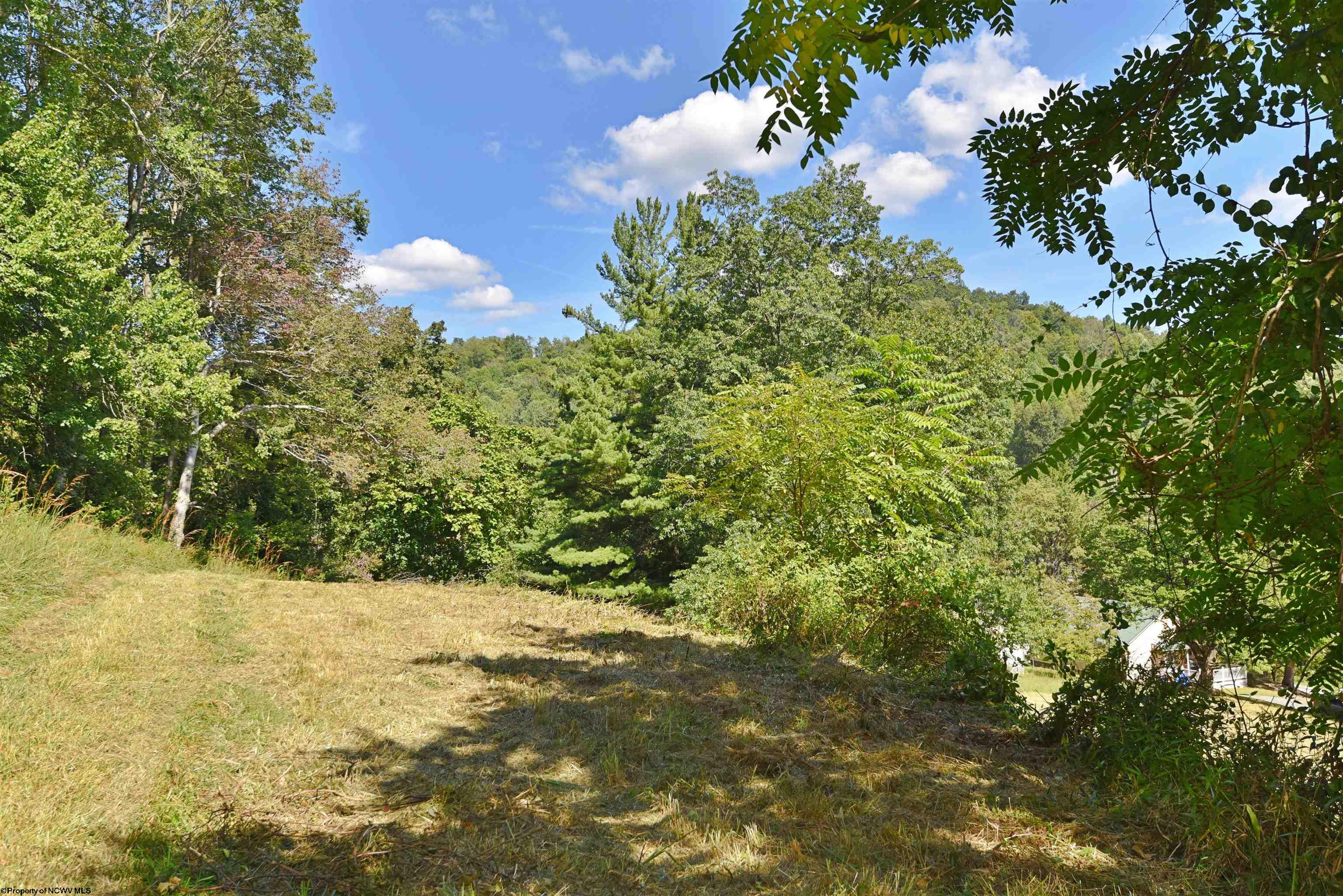 109 Richmond Avenue Grafton WV 26354