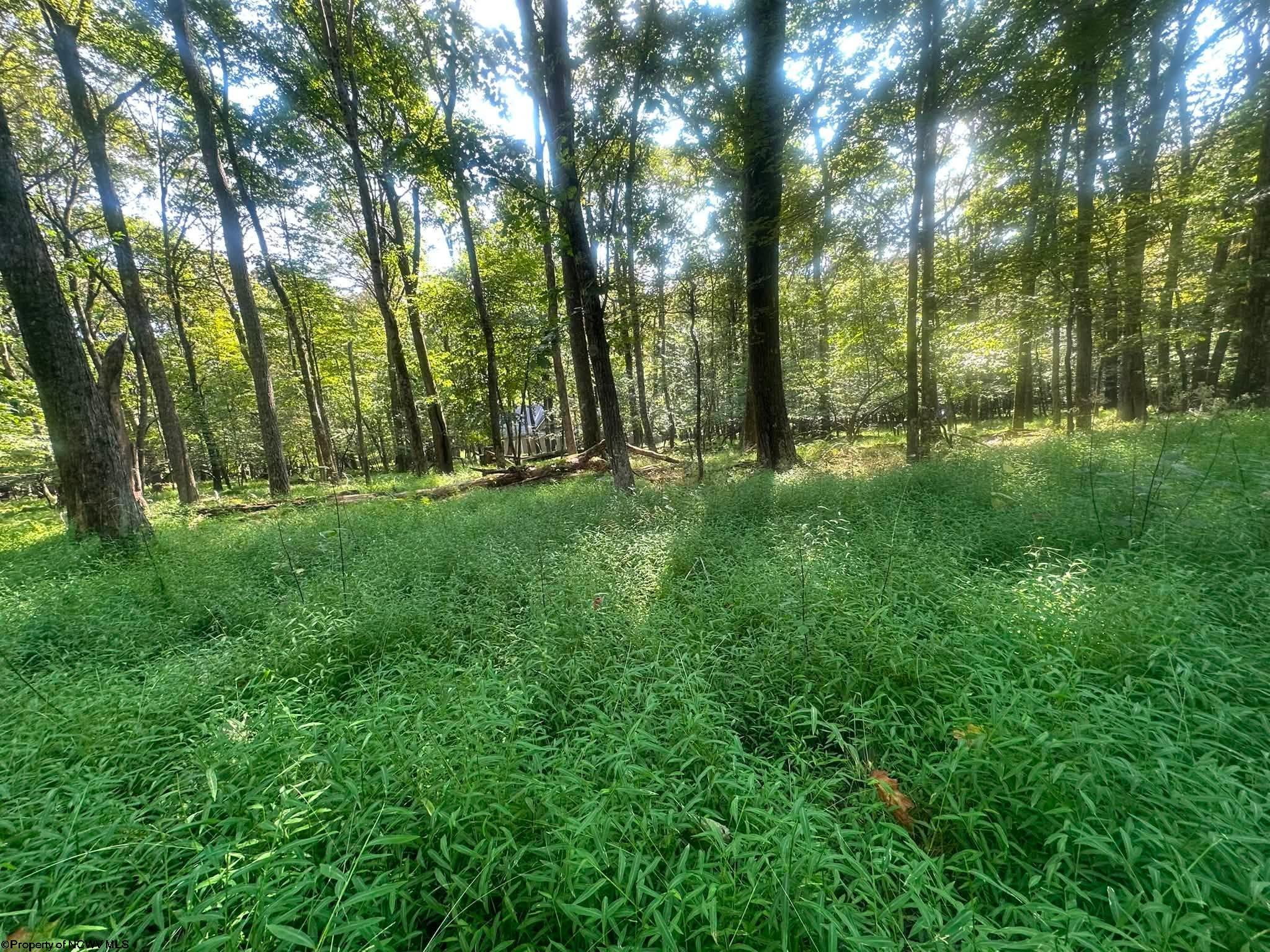 163 Anemone Lane Terra Alta WV 26764