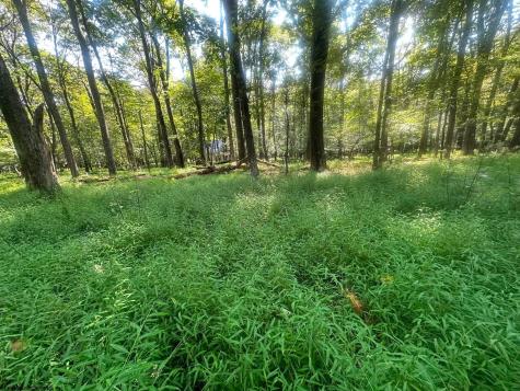 163 Anemone Lane Terra Alta WV 26764