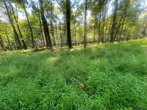 163 Anemone Lane Terra Alta WV 26764